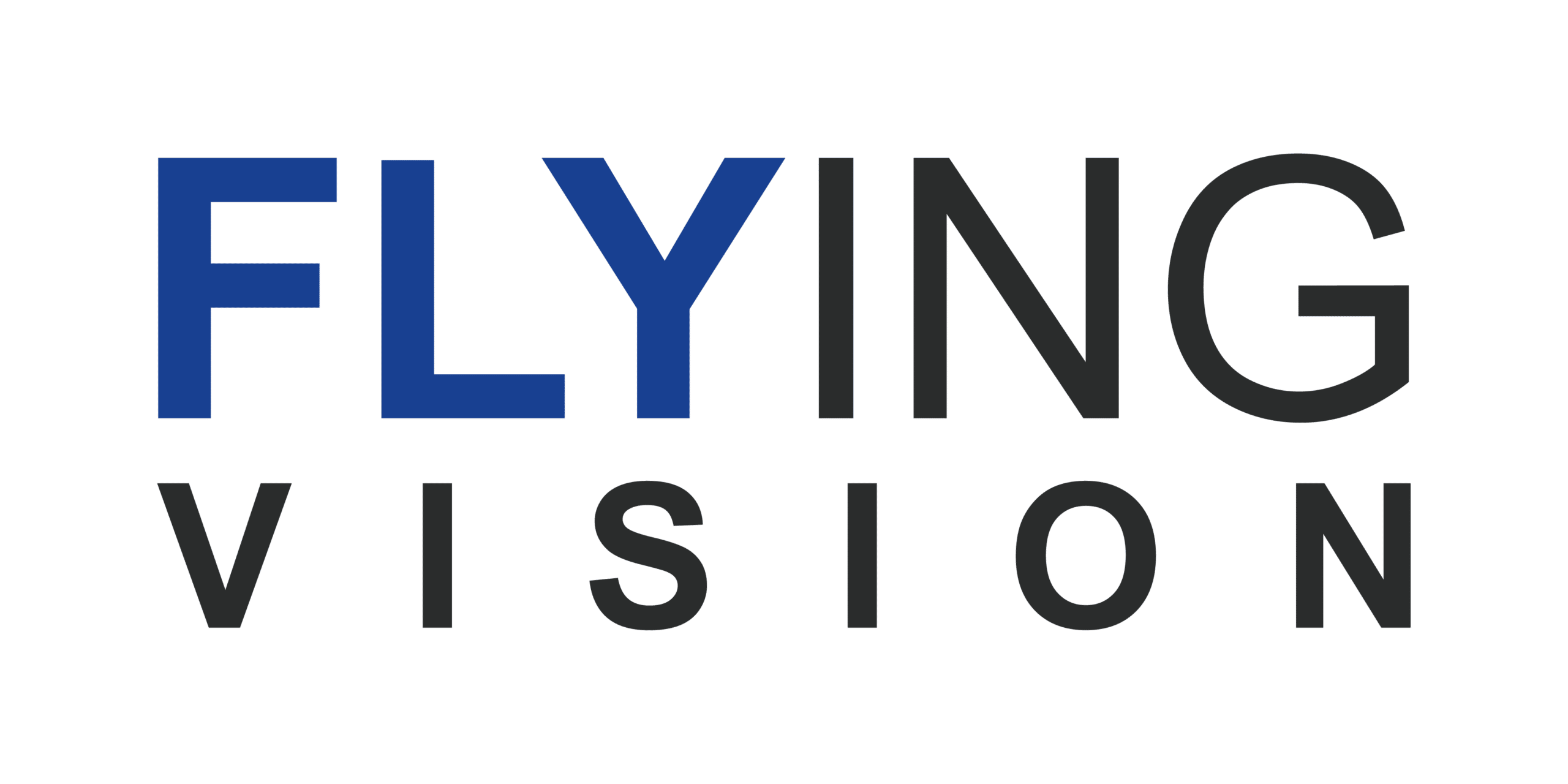 Logo Flying Vision